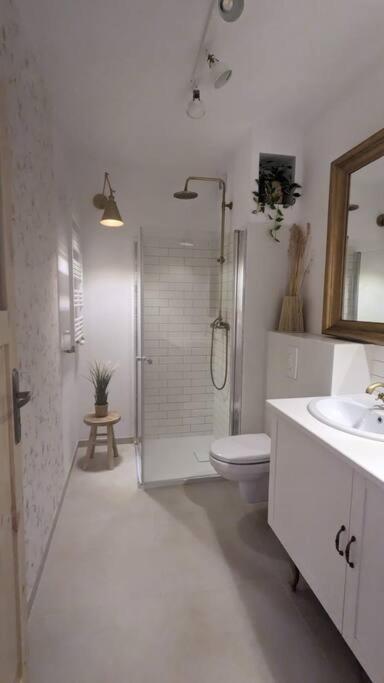 Apartament&Spa Lis&Las Sobótka Eksteriør bilde